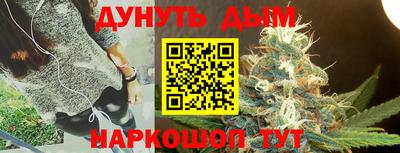 ГАЛЛЮЦИНОГЕННЫЕ ГРИБЫ Кингисепп