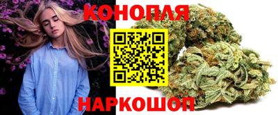 стаф Кинель