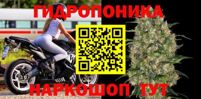 стаф Кинель