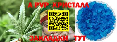 ГАЛЛЮЦИНОГЕННЫЕ ГРИБЫ Кингисепп