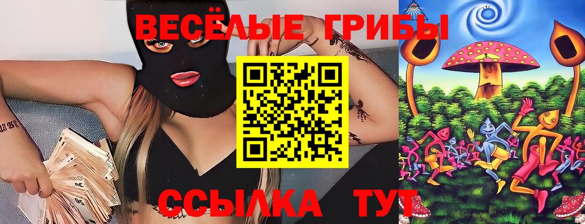 Красноармейск  Галлюциногенные грибы MAGIC MUSHROOMS  Вход с VPN 